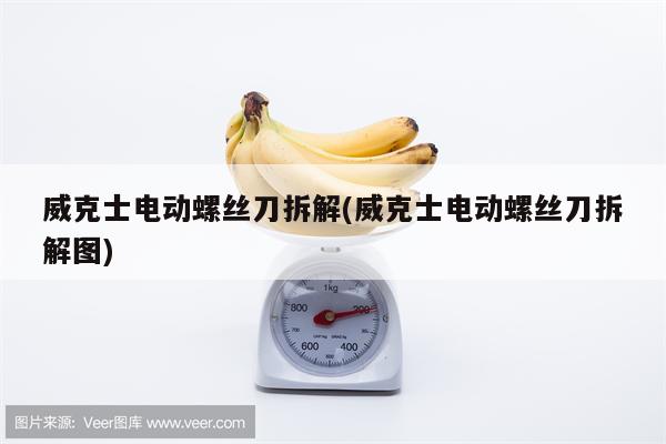 威克士电动螺丝刀拆解(威克士电动螺丝刀拆解图)