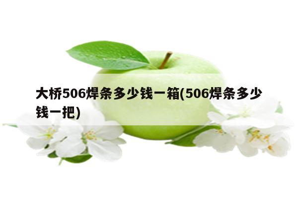 大桥506焊条多少钱一箱(506焊条多少钱一把)