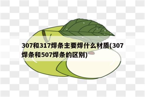 307和317焊条主要焊什么材质(307焊条和507焊条的区别)