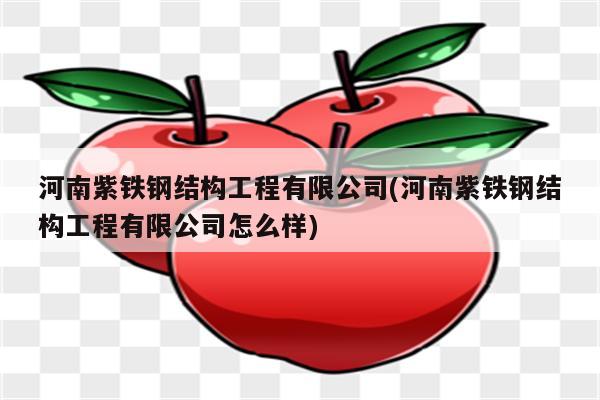 河南紫铁钢结构工程有限公司(河南紫铁钢结构工程有限公司怎么样)