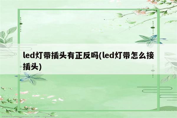 led灯带插头有正反吗(led灯带怎么接插头)