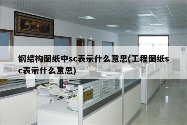 钢结构图纸中sc表示什么意思(工程图纸sc表示什么意思)