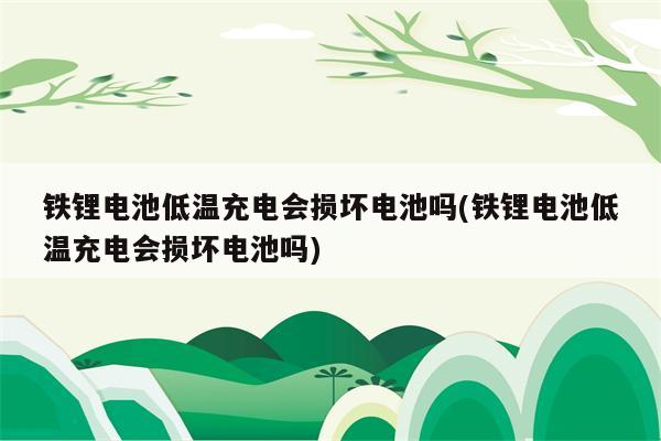 铁锂电池低温充电会损坏电池吗(铁锂电池低温充电会损坏电池吗)