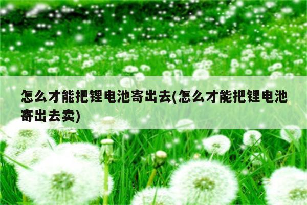 怎么才能把锂电池寄出去(怎么才能把锂电池寄出去卖)