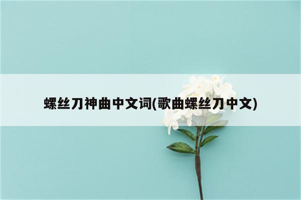 螺丝刀神曲中文词(歌曲螺丝刀中文)