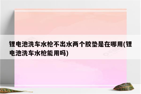 锂电池洗车水枪不出水两个胶垫是在哪用(锂电池洗车水枪能用吗)