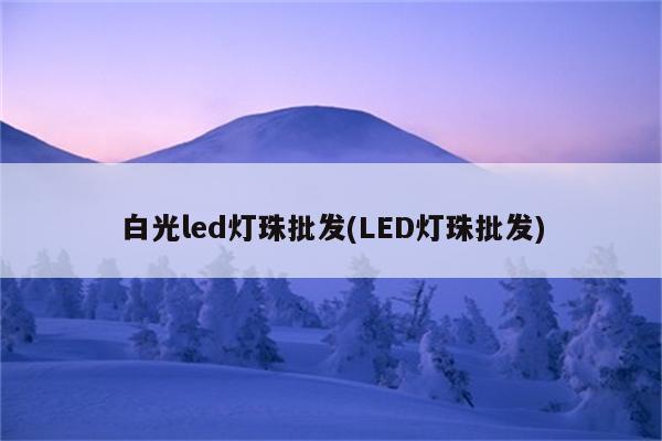 白光led灯珠批发(LED灯珠批发)