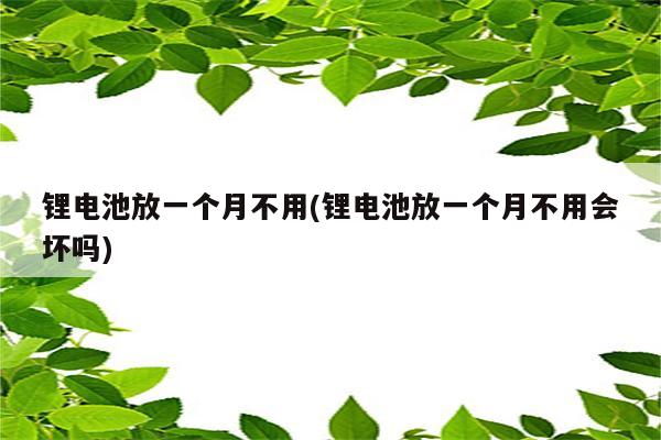 锂电池放一个月不用(锂电池放一个月不用会坏吗)