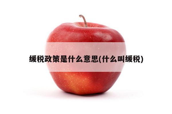 缓税政策是什么意思(什么叫缓税)