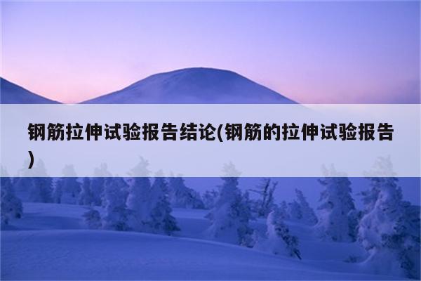 钢筋拉伸试验报告结论(钢筋的拉伸试验报告)