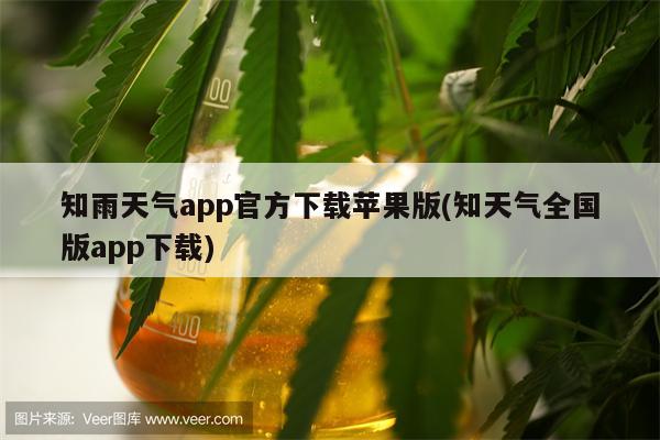 知雨天气app官方下载苹果版(知天气全国版app下载)