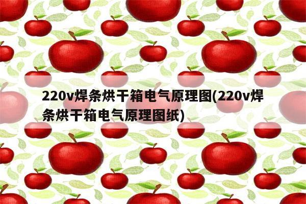 220v焊条烘干箱电气原理图(220v焊条烘干箱电气原理图纸)