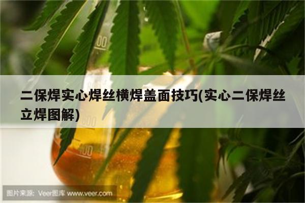 二保焊实心焊丝横焊盖面技巧(实心二保焊丝立焊图解)