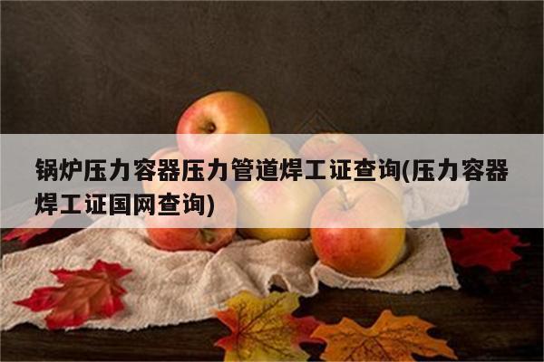 锅炉压力容器压力管道焊工证查询(压力容器焊工证国网查询)