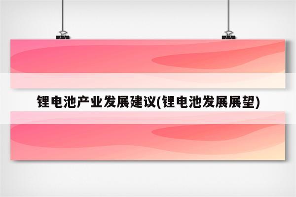 锂电池产业发展建议(锂电池发展展望)