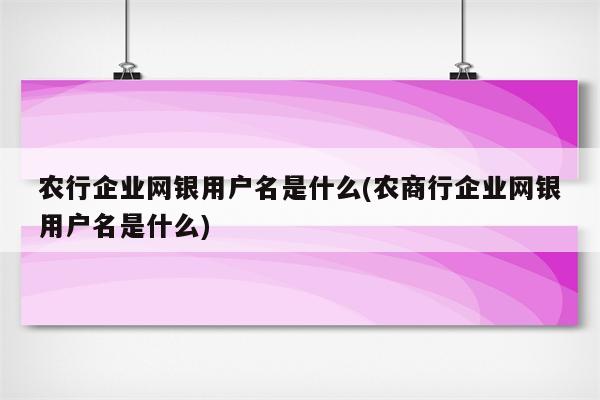 农行企业网银用户名是什么(农商行企业网银用户名是什么)