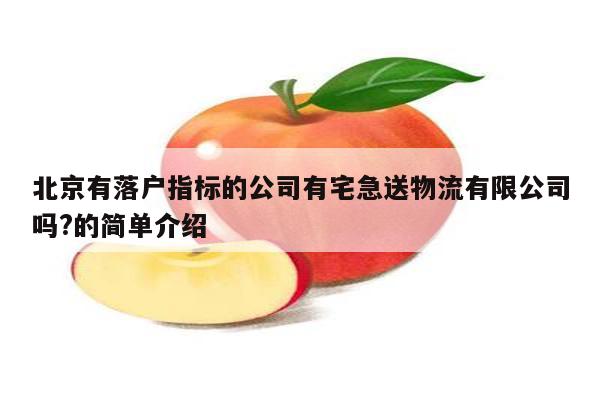 北京有落户指标的公司有宅急送物流有限公司吗?的简单介绍