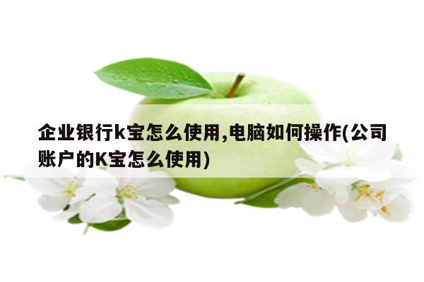 企业银行k宝怎么使用,电脑如何操作(公司账户的K宝怎么使用)