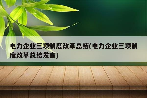 电力企业三项制度改革总结(电力企业三项制度改革总结发言)