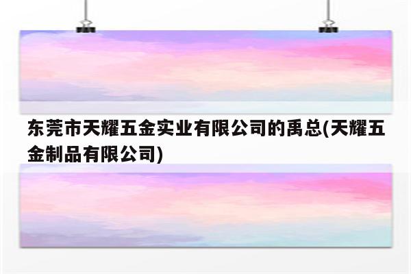 东莞市天耀五金实业有限公司的禹总(天耀五金制品有限公司)