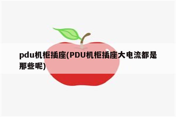 pdu机柜插座(PDU机柜插座大电流都是那些呢)