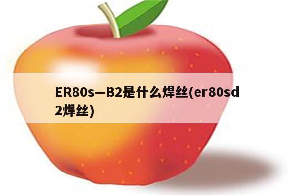 ER80s—B2是什么焊丝(er80sd2焊丝)