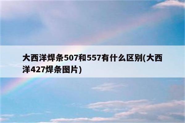 大西洋焊条507和557有什么区别(大西洋427焊条图片)