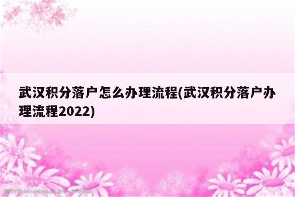 武汉积分落户怎么办理流程(武汉积分落户办理流程2022)