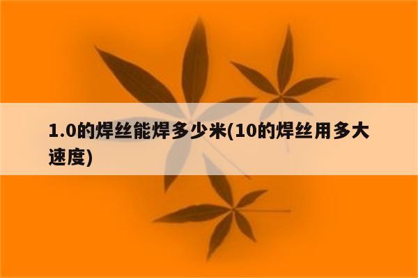 1.0的焊丝能焊多少米(10的焊丝用多大速度)