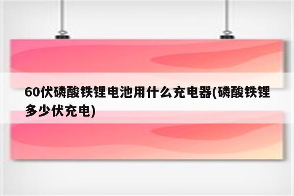 60伏磷酸铁锂电池用什么充电器(磷酸铁锂多少伏充电)