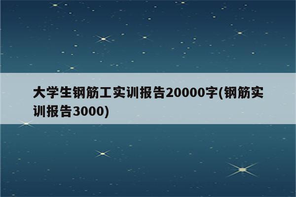 大学生钢筋工实训报告20000字(钢筋实训报告3000)