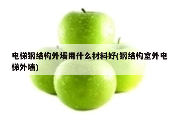 电梯钢结构外墙用什么材料好(钢结构室外电梯外墙)