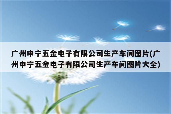 广州申宁五金电子有限公司生产车间图片(广州申宁五金电子有限公司生产车间图片大全)