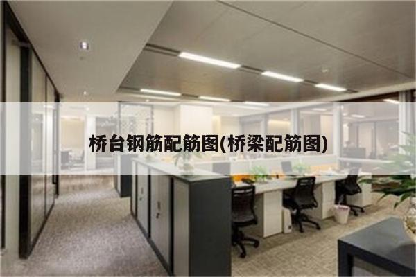 桥台钢筋配筋图(桥梁配筋图)