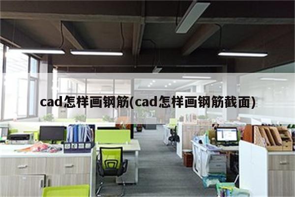 cad怎样画钢筋(cad怎样画钢筋截面)