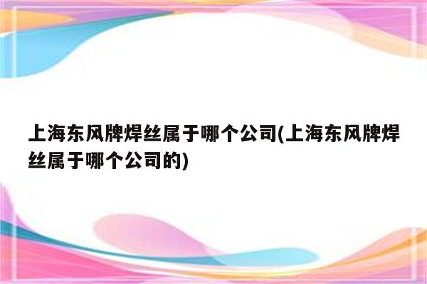 上海东风牌焊丝属于哪个公司(上海东风牌焊丝属于哪个公司的)