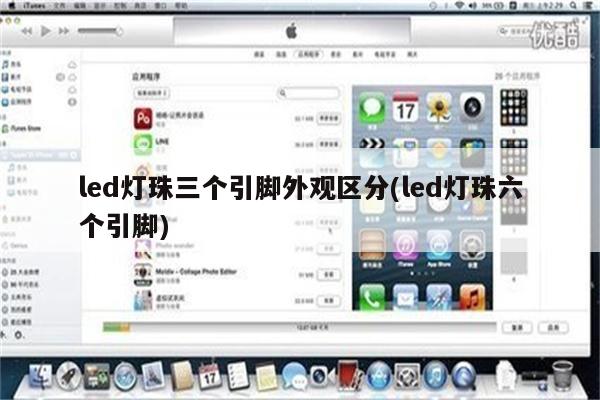 led灯珠三个引脚外观区分(led灯珠六个引脚)