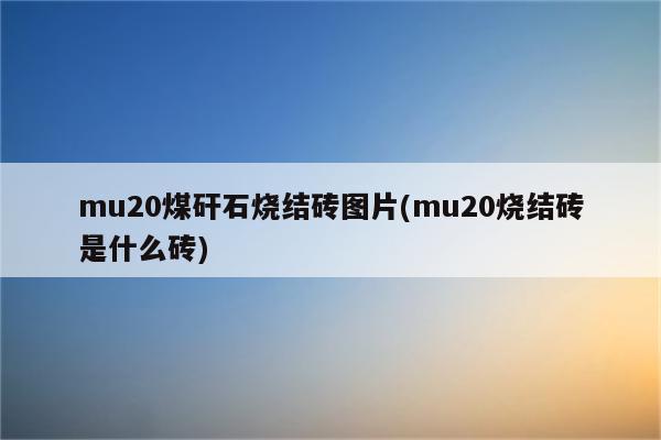 mu20煤矸石烧结砖图片(mu20烧结砖是什么砖)