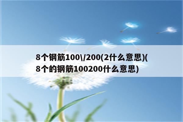 8个钢筋100\/200(2什么意思)(8个的钢筋100200什么意思)