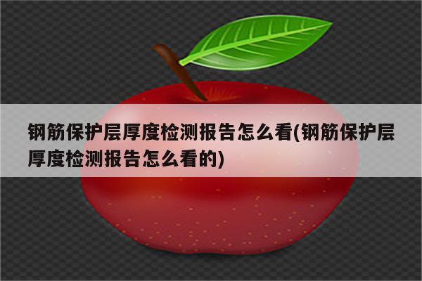 钢筋保护层厚度检测报告怎么看(钢筋保护层厚度检测报告怎么看的)