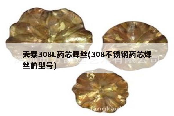 天泰308L药芯焊丝(308不锈钢药芯焊丝的型号)