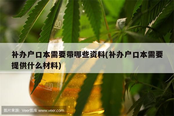 补办户口本需要带哪些资料(补办户口本需要提供什么材料)