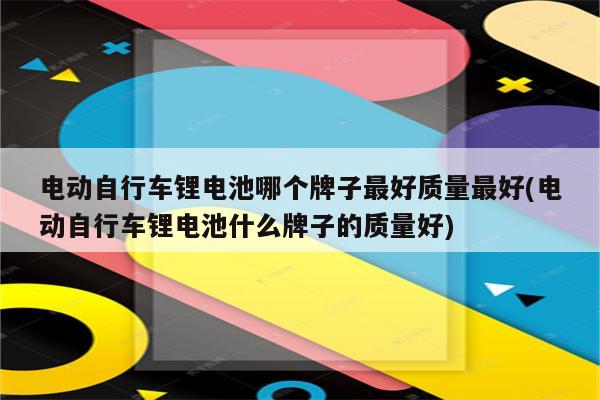 电动自行车锂电池哪个牌子最好质量最好(电动自行车锂电池什么牌子的质量好)