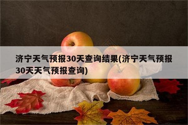 济宁天气预报30天查询结果(济宁天气预报30天天气预报查询)