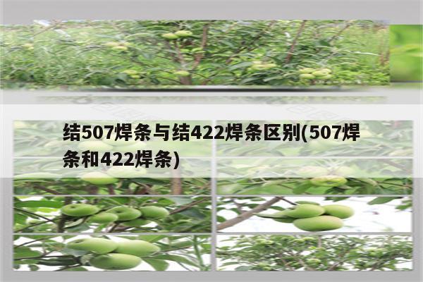 结507焊条与结422焊条区别(507焊条和422焊条)