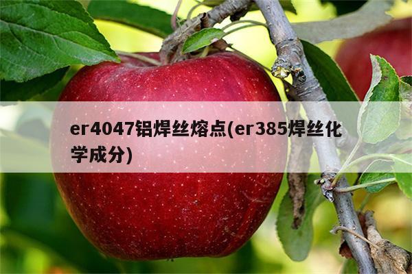 er4047铝焊丝熔点(er385焊丝化学成分)