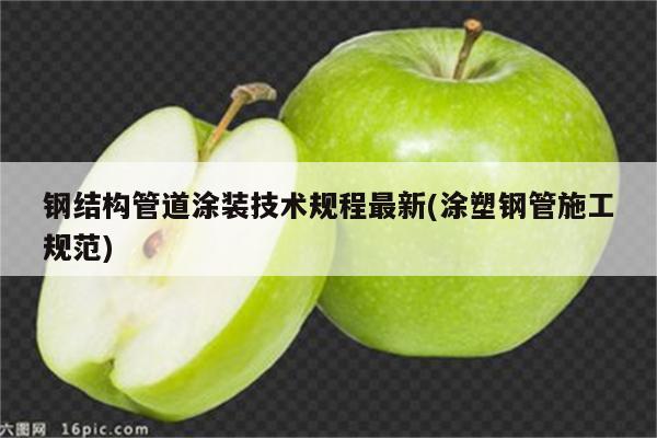 钢结构管道涂装技术规程最新(涂塑钢管施工规范)