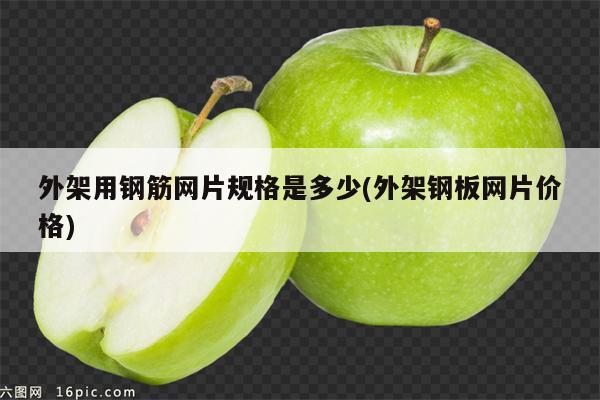 外架用钢筋网片规格是多少(外架钢板网片价格)