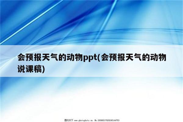 会预报天气的动物ppt(会预报天气的动物说课稿)