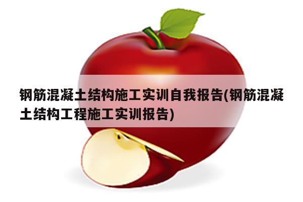 钢筋混凝土结构施工实训自我报告(钢筋混凝土结构工程施工实训报告)